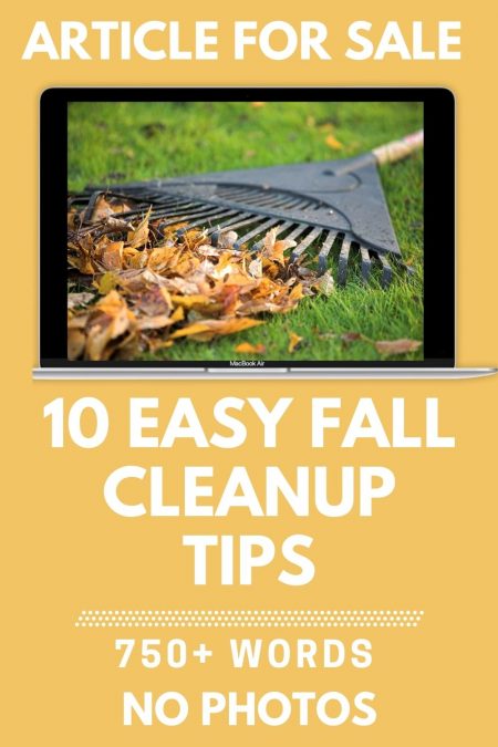 10 easy tips for fall cleanup