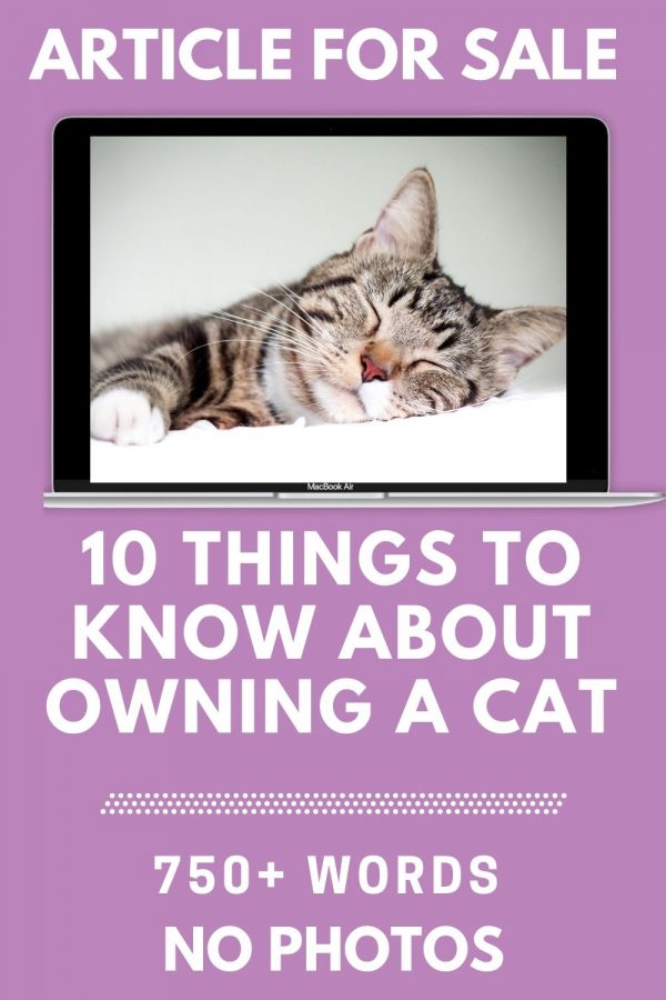 10 things you need to know about owning a cat