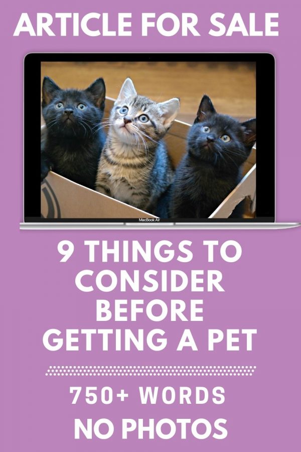 9 things to consider before getting a pet