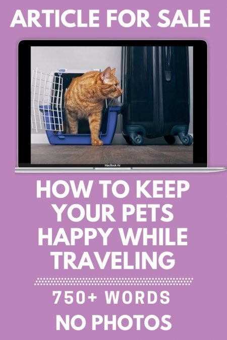 How to keep your pets happy while traveling