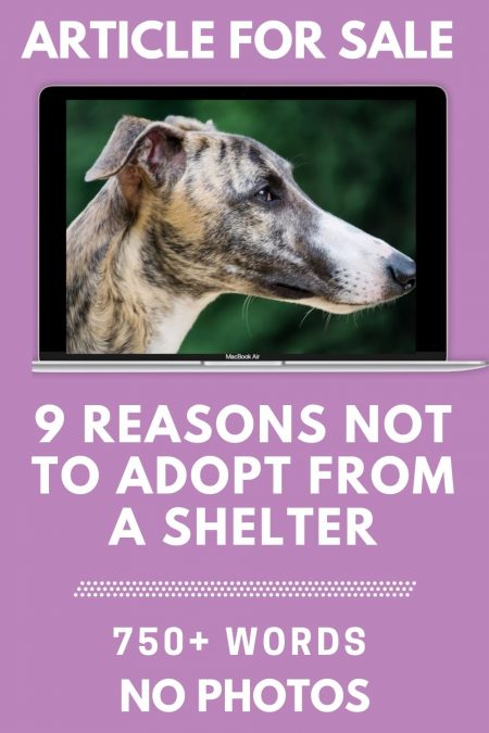 9 reasons not to adopt from a shelter