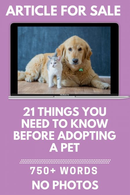 21 things you need to know before adopting a pet